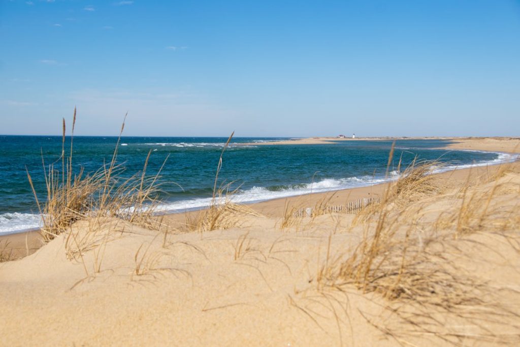 Sandy Cape Cod dunes with beach grass and blue ocean at Provincetown